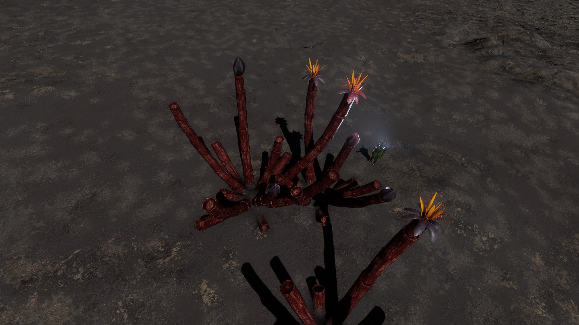Screenshot_0196