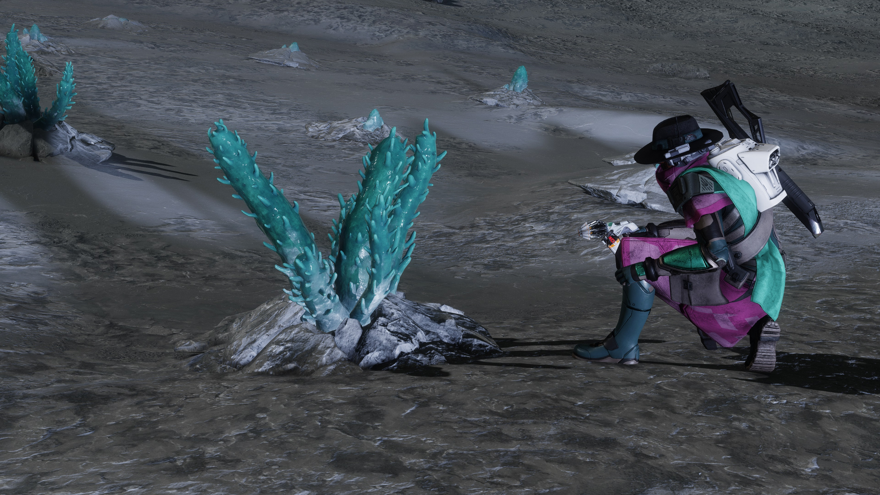 Screenshot_0491