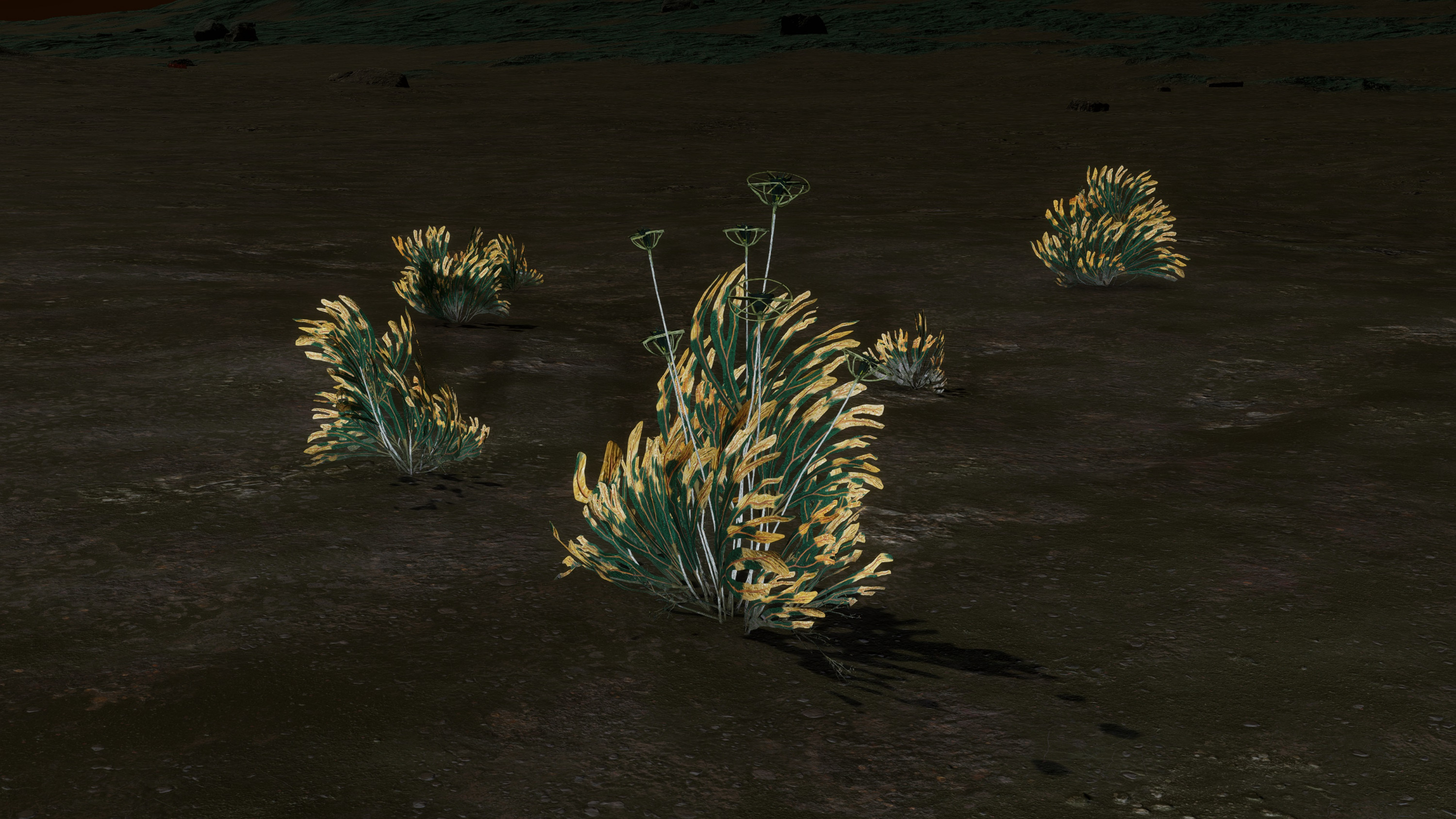 Screenshot_0500