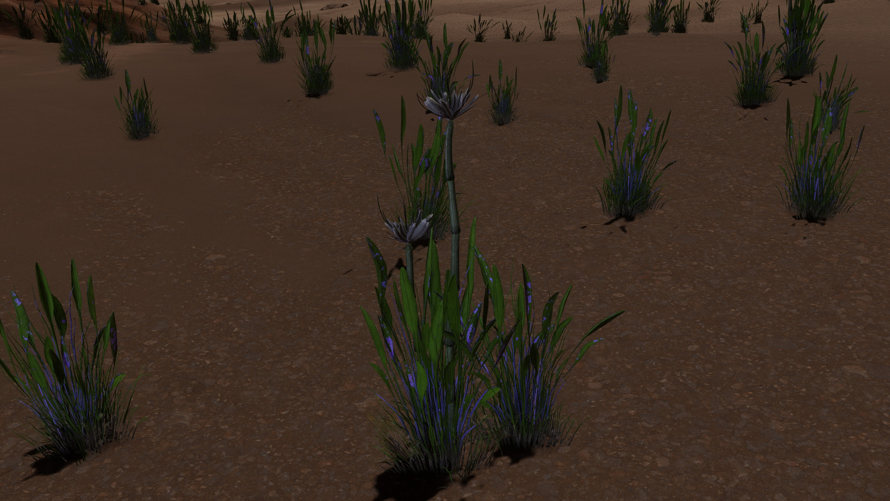 Screenshot_0505