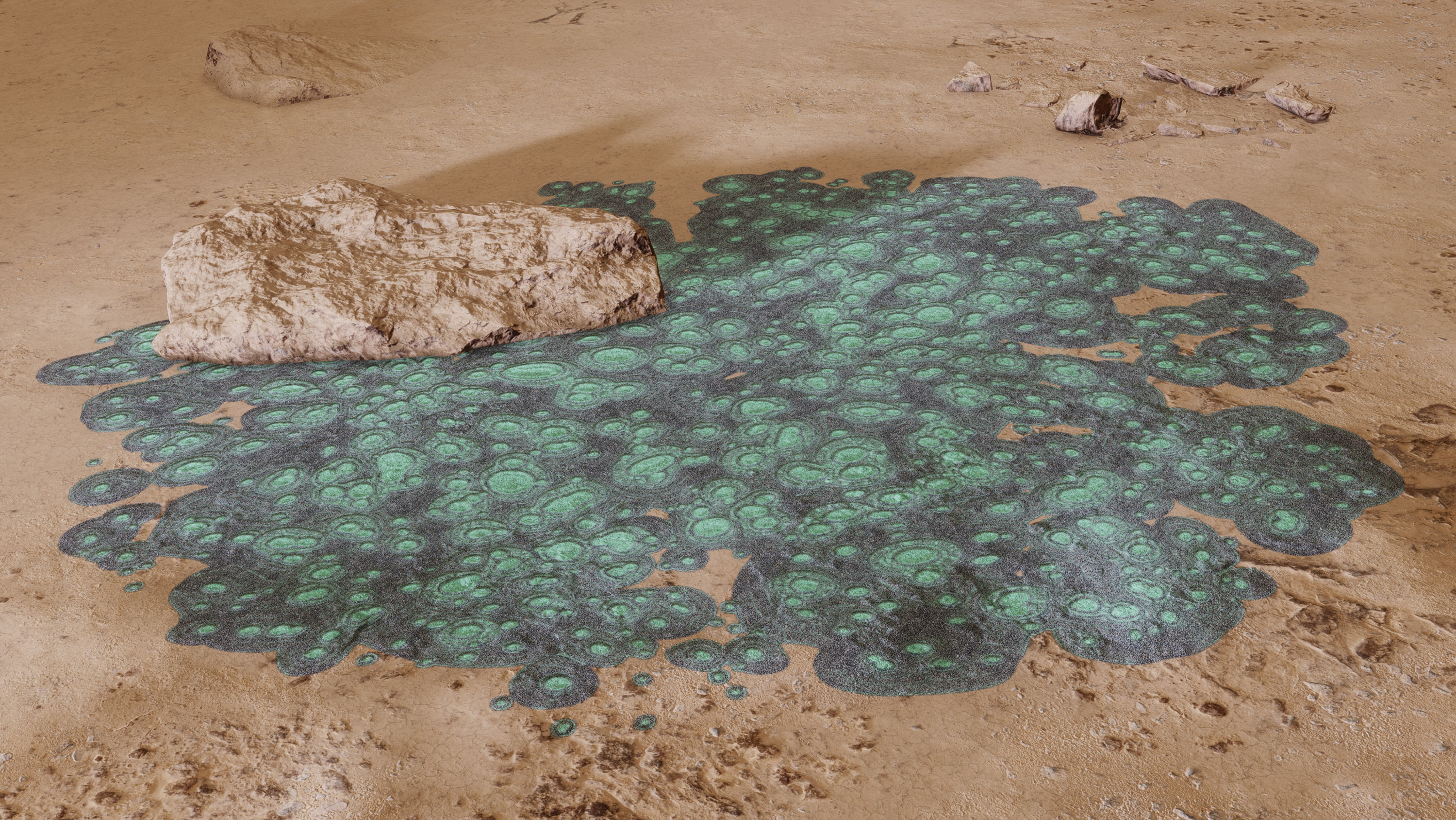 Bacterium