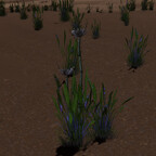Screenshot_0505