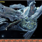 Xeno Hunting