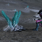 Screenshot_0491