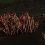 Screenshot_0495
