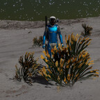 Screenshot_0439