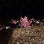 Screenshot_0350