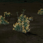 Screenshot_0500
