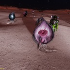 Screenshot_0240