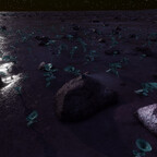 Screenshot_0431