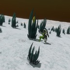 Screenshot_0233