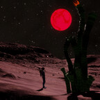 Screenshot_0456