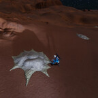 Screenshot_0411