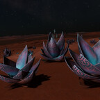 Screenshot_0517