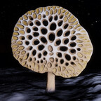 Osseus