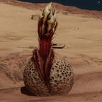 Screenshot_0525