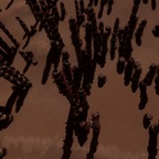 Screenshot_0221