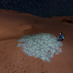 Screenshot_0413