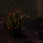 Screenshot_0479