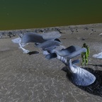 Screenshot_0223