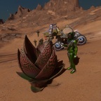 Screenshot_0231