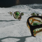 Screenshot_0477