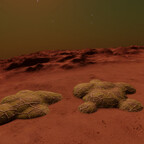 Stratum Tectonitas - Lime