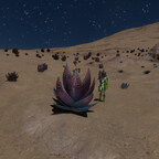 Screenshot_0298