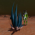 Screenshot_0293