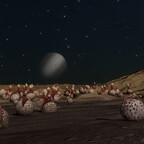 Screenshot_0526