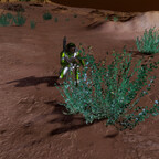Screenshot_0244
