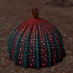 Screenshot_0445