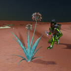 Screenshot_0260