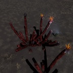 Screenshot_0196