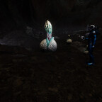 Screenshot_0376