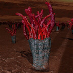 Screenshot_0469