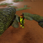 Screenshot_0341