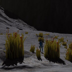 Screenshot_0424