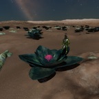 Screenshot_0213