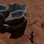Screenshot_0507