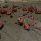 Screenshot_0337